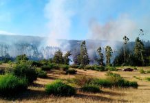 Dos incendios forestales siguen activos en San Juan de la Costa
