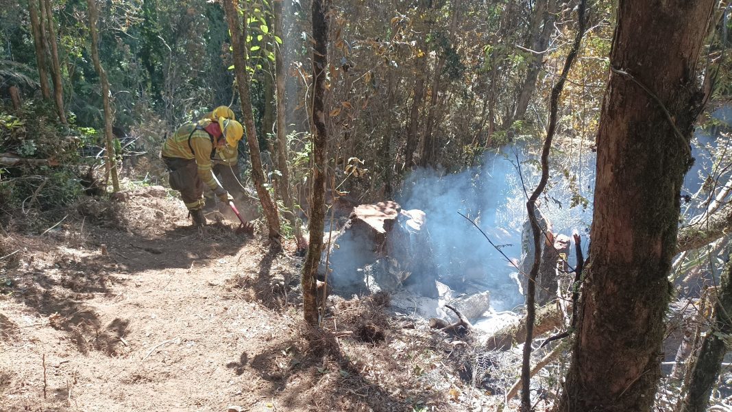 WhatsApp Image 2025-01-13 at 22.24.07