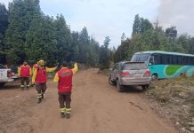En Alerta Amarilla se mantiene comuna de Ancud tras la contención de incendio forestal