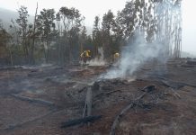 Incendios forestales en San Juan de la Costa se encuentran controlados aunque aumentó superficie afectada