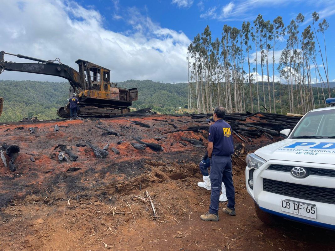 WhatsApp Image 2025-01-15 at 15.03.10