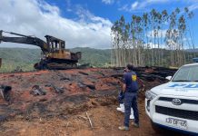 Investigan intencionalidad en incendio forestal de Huitrapulli