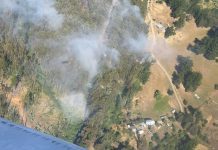 Incendio forestal en Quilquilco sigue en combate: hay más de cinco hectáreas afectadas