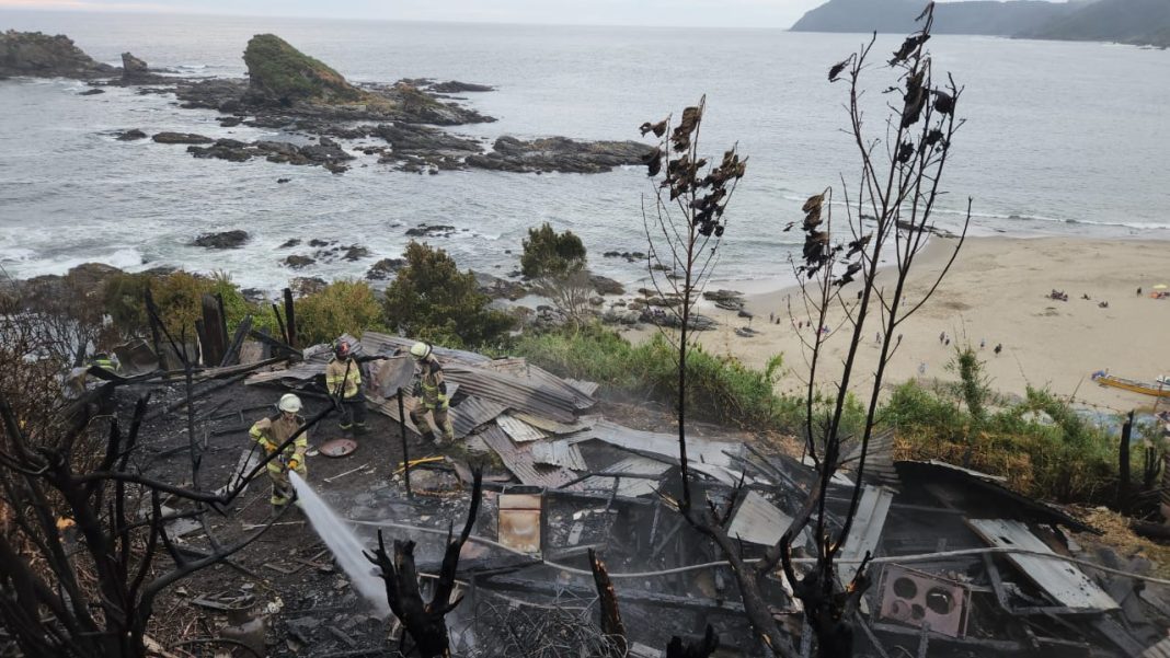 WhatsApp Image 2025-01-19 at 19.50.05