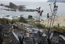 Incendio en Pucatrihue destruye cuatro viviendas, una hectárea de vegetación y deja un bombero lesionado