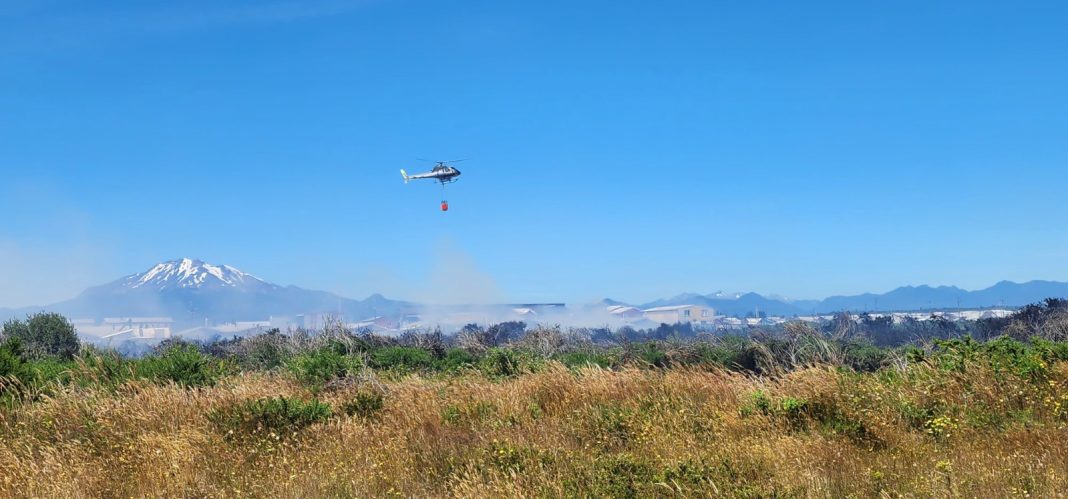 WhatsApp Image 2025-01-20 at 12.33.30 PM