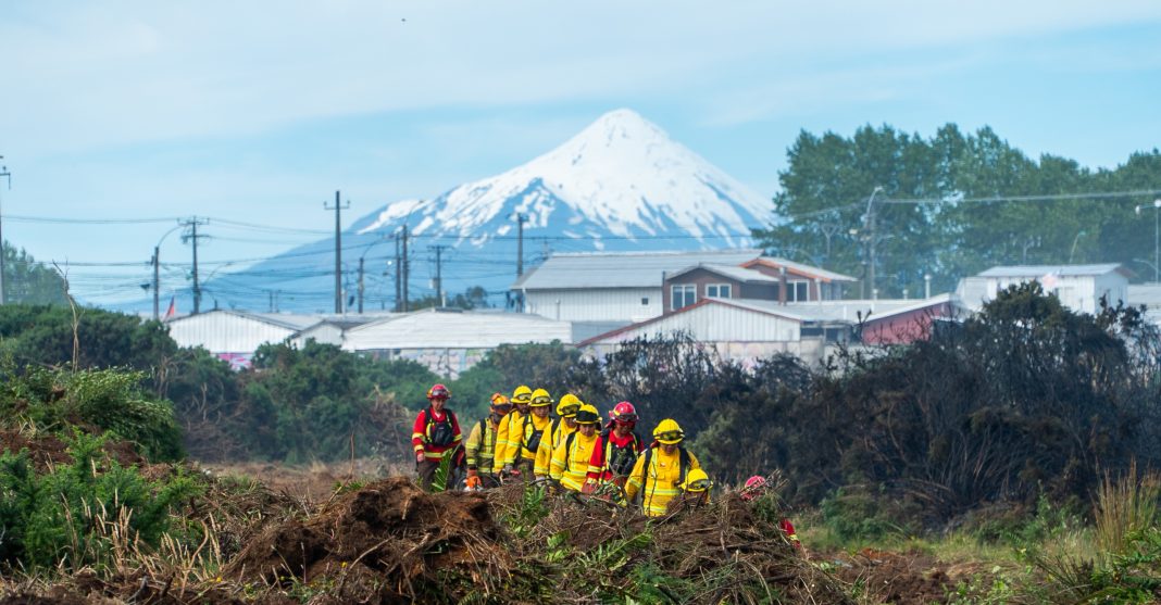 WhatsApp Image 2025-01-23 at 11.03.14 AM