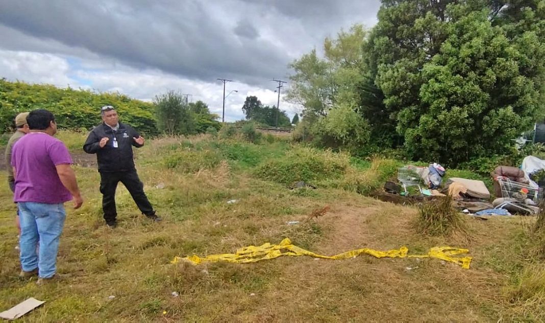 WhatsApp Image 2025-01-24 at 2.55.48 PM