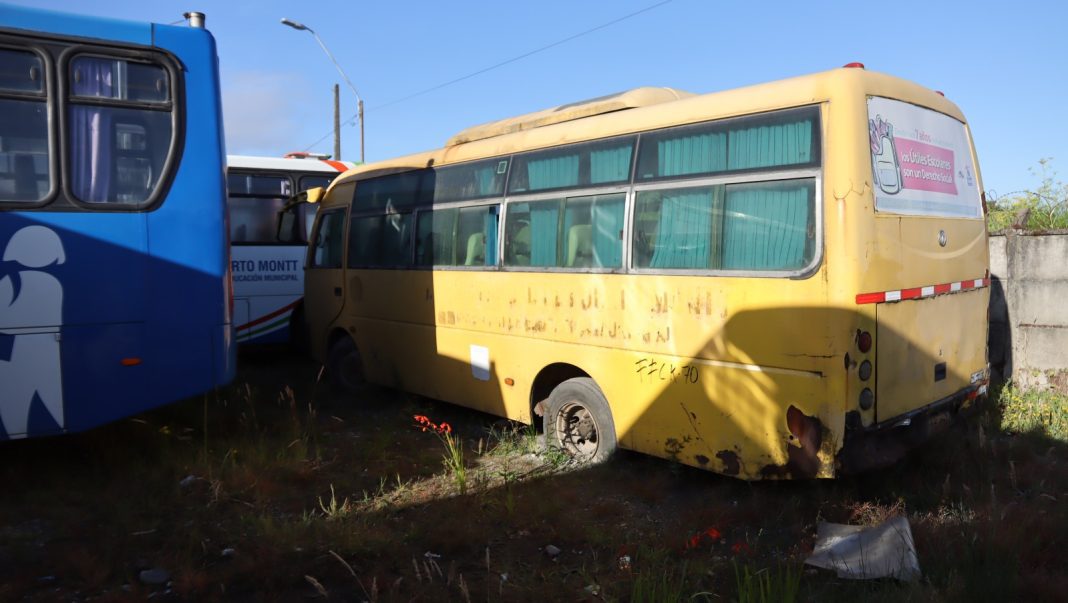 WhatsApp Image 2025-01-28 at 9.33.56 AM