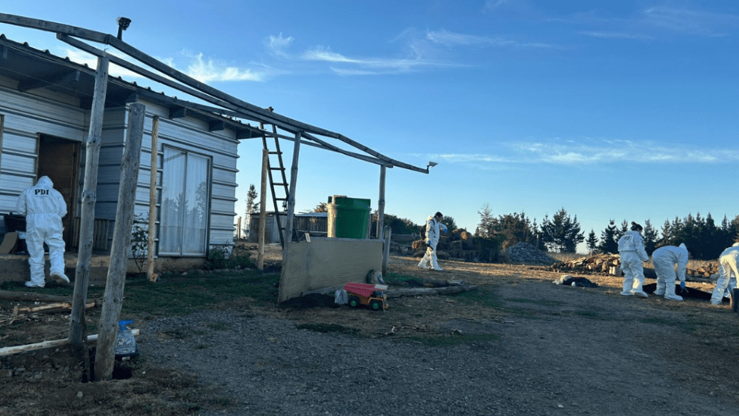 foto_0000000120250105123747