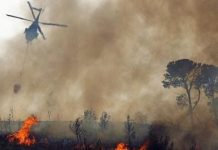 Declaran Alerta Roja para la comuna de Ancud por incendio forestal