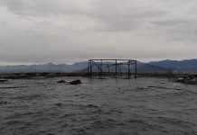 Mowi Chile anuncia que recurrirá a Corte Suprema y reitera inexistencia de daño ambiental irreparable