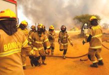 Senapred ordena la evacuación de sectores de Lautaro y Galvarino por incendios forestales