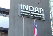 Sueldos impagos complica a trabajadores de Prodesal y PDTI. Diputado Barría exige al Gobierno pronta solución