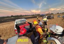 En combate, contenido y alerta amarilla: totalizan en 38 las hectáreas afectadas por incendio forestal en San Pablo