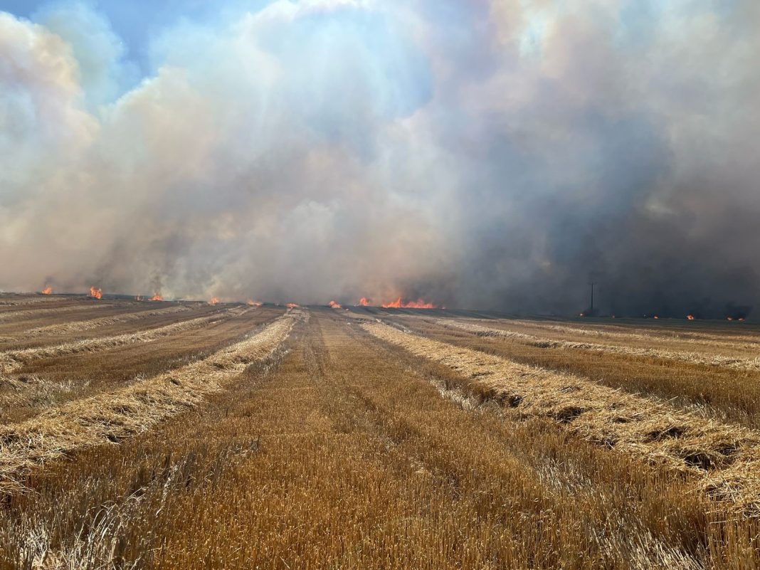 7a5e9c9d-eb70-4669-8695-8ae401876d27