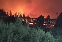 Incendios forestales: Casi 6 mil hectáreas consumidas en La Araucanía y Collipulli el foco actual