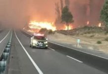 Ministro de Agricultura e incendios forestales en el sur: «Lo de ayer fue una batalla por salvar a Collipulli»