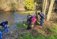 Realizarán jornada de limpieza de la ribera de los ríos Damas y Rahue en Osorno