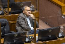 Senador Espinoza critica idea de la Fiscalía Penal Municipal en Puerto Montt sin olvidar la presencia de Marcos Emilfork