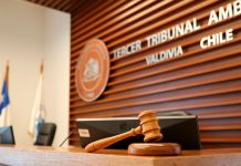 Tribunal Ambiental confirma millonaria sanción a empresa por escape de salmones en 2018