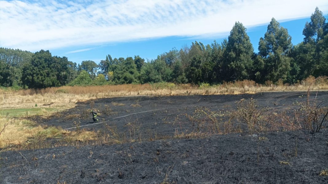 WhatsApp Image 2025-02-07 at 16.20.49