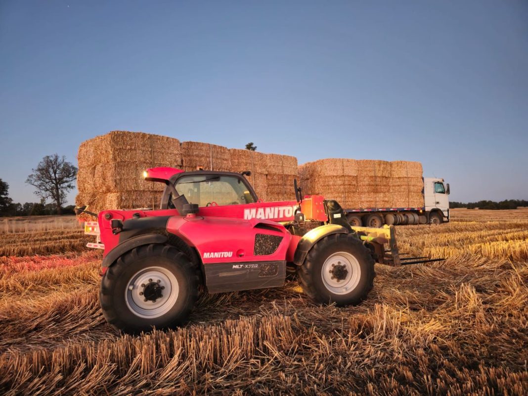 WhatsApp Image 2025-02-09 at 14.04.16 (1)