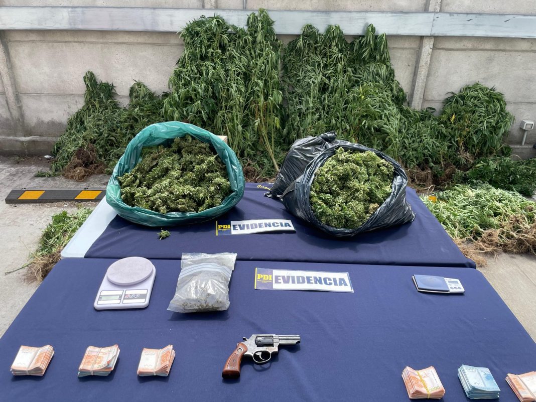 WhatsApp Image 2025-02-18 at 14.17.20