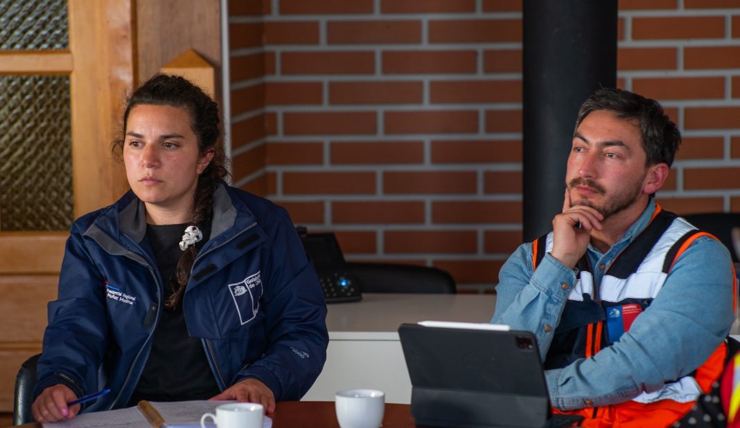 WhatsApp Image 2025-02-18 at 15.49.20