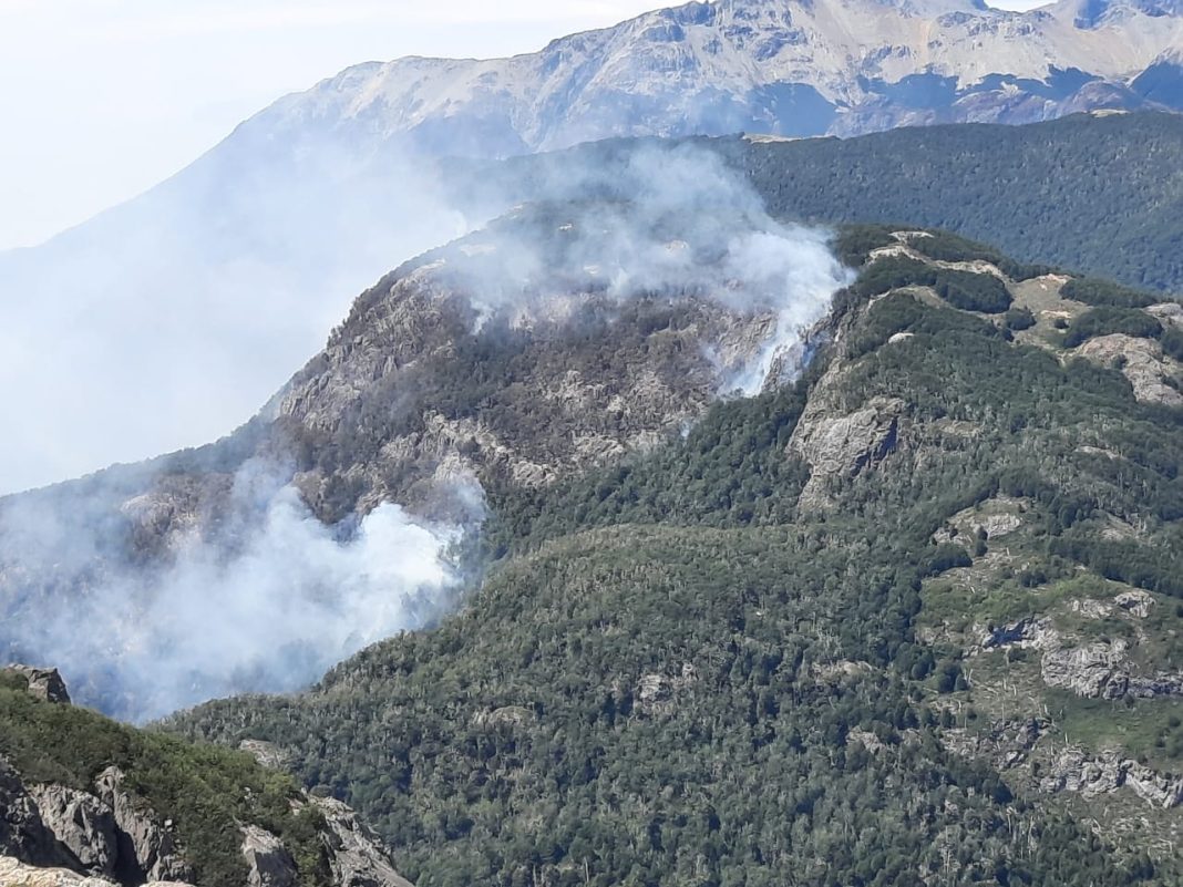 WhatsApp Image 2025-02-18 at 15.55.05