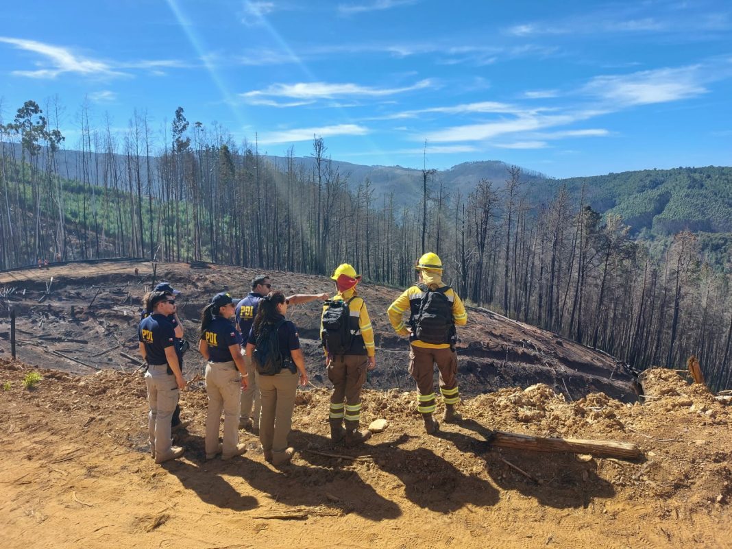 WhatsApp Image 2025-02-18 at 18.49.33