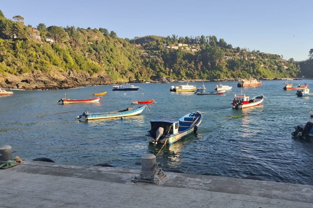 WhatsApp Image 2025-02-22 at 12.51.36