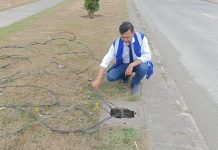 Denuncian sostenido y millonario robo de cables en diversas calles de Puerto Montt: quedan a oscuras y a merced de la delincuencia