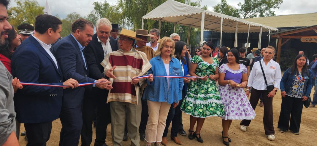 WhatsApp Image 2025-02-28 at 15.33.32