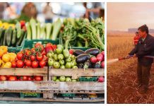 Agricultura afirmó que los precios de frutas y verduras no aumentarán producto de los incendios forestales