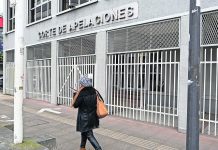 Justicia obliga a dueña de parcela en Puerto Varas a permitir trabajos eléctricos