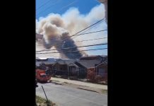 Tras ser detenido, Fiscalía deja con citación a un hombre acusado de iniciar un incendio forestal en Puerto Montt