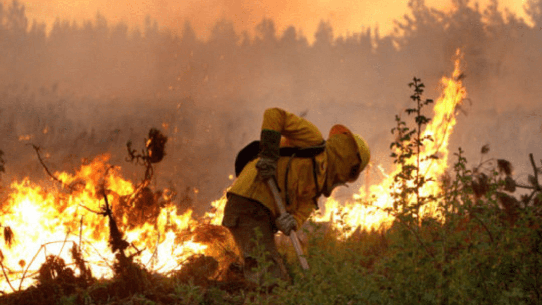 incendio_9