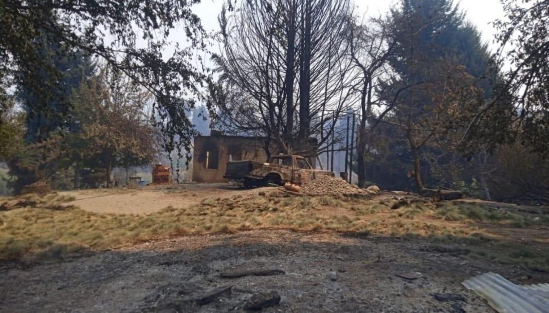 incendios-3-e1738759622902