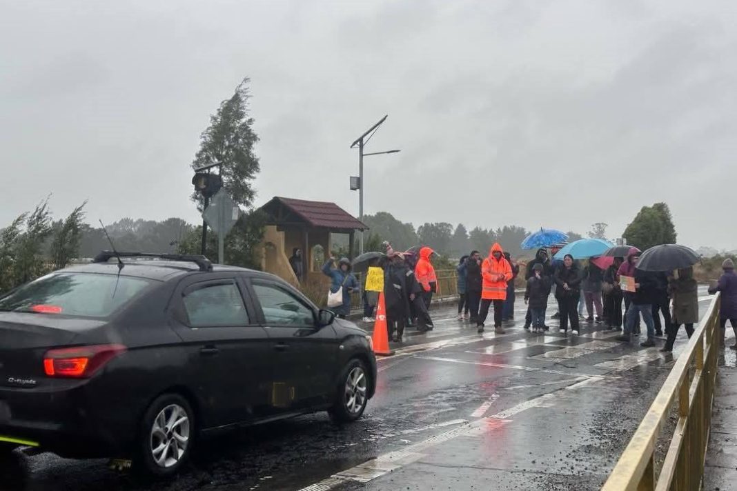 481662801_1698195261109562_8468358762488796922_n