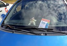 Intensificarán fiscalización del comercio ambulante callejero y de autos mal estacionados en Osorno