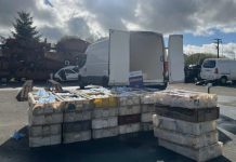 Furgón transportaba más de 2 mil kilos de merluza y congrio ilegal en ruta 5 sur en La Unión