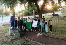 Vecinos de Purranque preocupados por afectación ambiental provocada por empresa de compostaje en Crucero