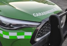 Adulta mayor fue secuestrada por su propia hija y se mantuvo maniatada y encerrada durante horas