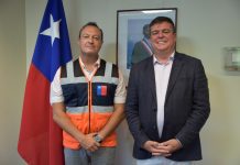 Renuncia director de Senapred de La Araucanía: no alcanzó a durar dos meses en medio de los incendios en la zona