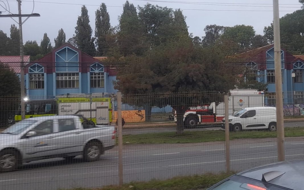 WhatsApp Image 2025-03-10 at 08.20.46