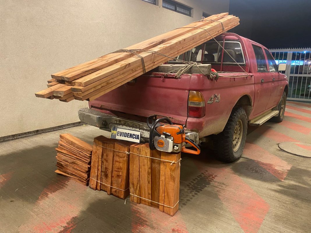 WhatsApp Image 2025-03-11 at 11.40.39