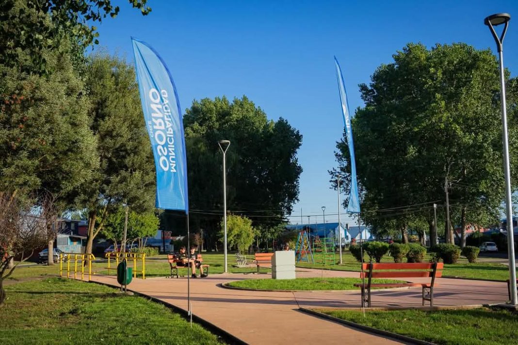 WhatsApp Image 2025-03-11 at 13.10.54