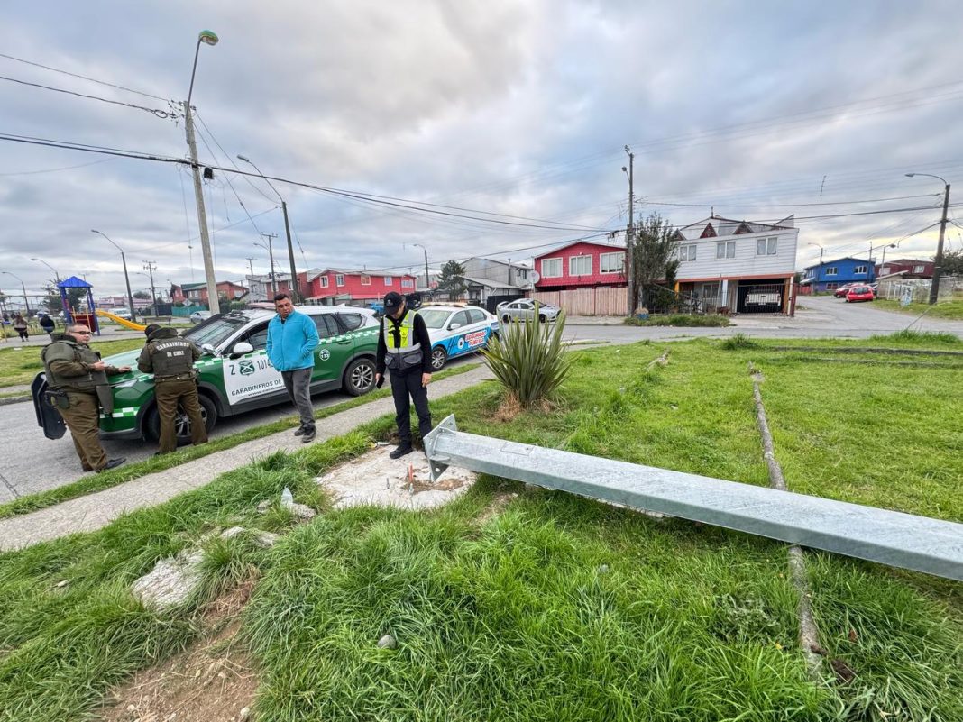 WhatsApp Image 2025-03-18 at 12.50.02 PM