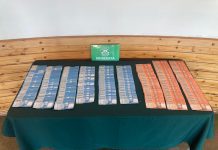 Recuperan millonario botín a sujetos que robaron a una persona en Purranque